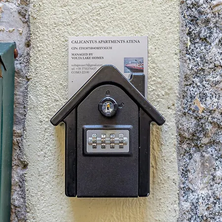 Calicantus Atena * Como