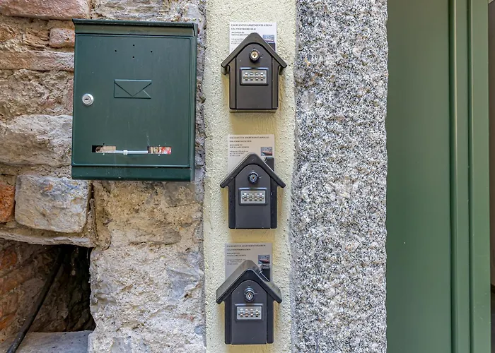 Calicantus Atena コモ