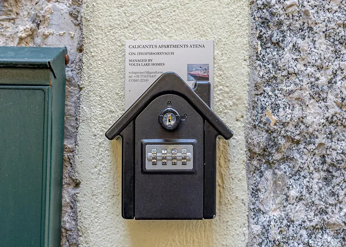 Calicantus Atena * コモ