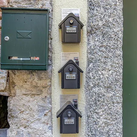 Calicantus Atena コモ